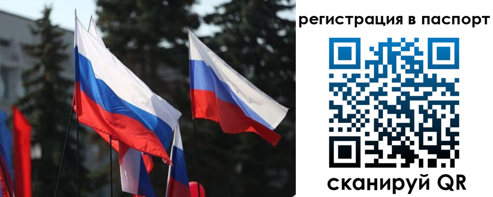 прописка штамп в Кондрово
